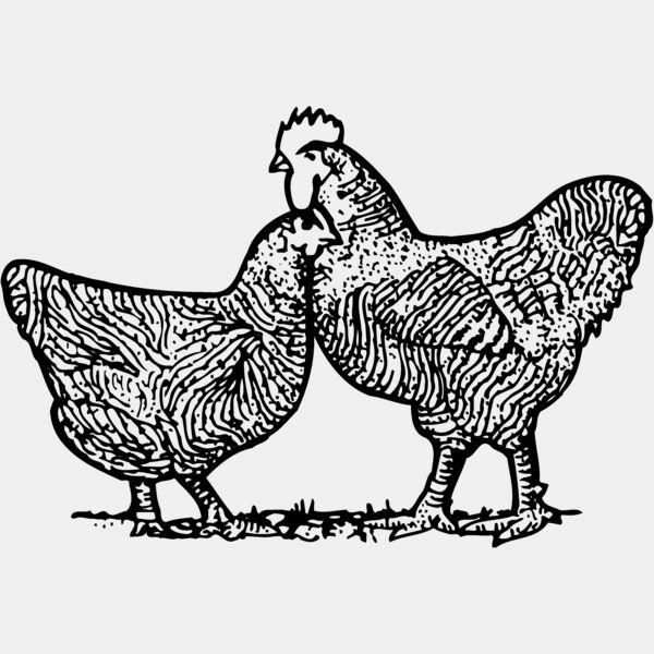 CHICK005 Thumbnail